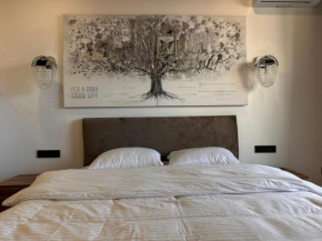 Next hotels